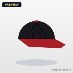 NBA Snapback Hats (generic preview image)